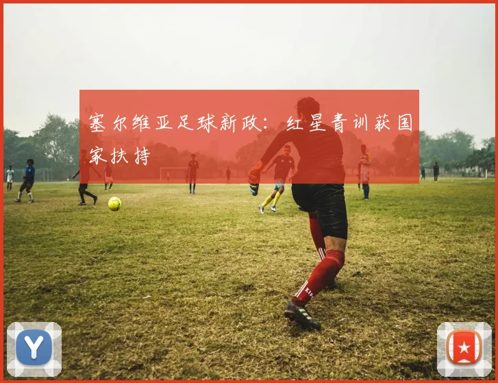 塞尔维亚足球新政：红星青训获国家扶持
