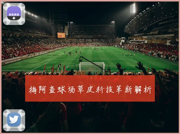 梅阿查球场草皮科技革新解析